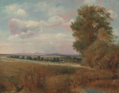 Landschaft bei Hampstead, mit Harrow in der Ferne von Lionel Constable